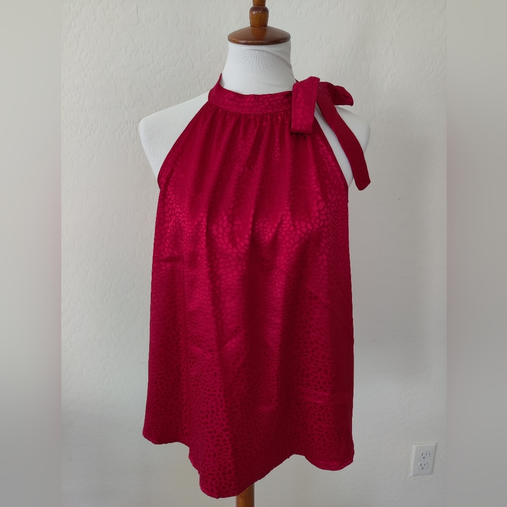 Red Blouse